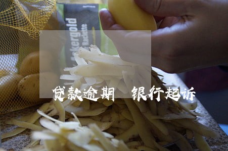 贷款逾期 银行起诉